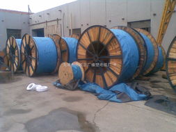 鍍錫電纜與JHS橡塑電纜的特點(diǎn)與應(yīng)用